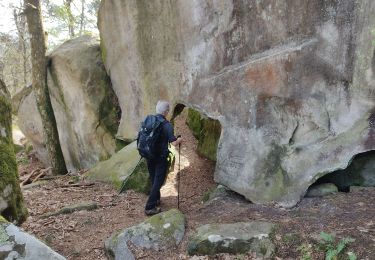 Tocht Stappen Fontainebleau - L'inspecteur général - Photo
