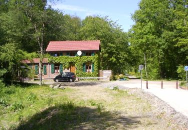 Tour Zu Fuß Stablo - 14. Promenade du Cerf - Photo