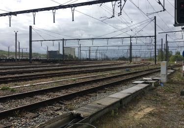 Randonnée Marche Charleroi - Autour de Roux  - Photo