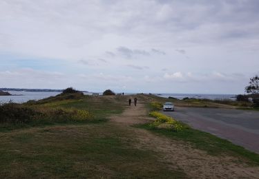 Trail Walking Saint-Jacut-de-la-Mer - rando pointe de ST JACUT 22 - Photo