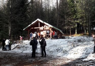 Trail Walking Fellering - 2019.12.10. Urbeis - Photo