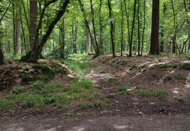 Tocht Stappen Dour - Sart la bruyère  - Photo