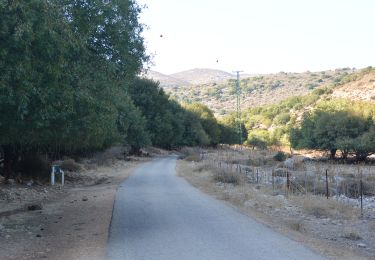 Excursión A pie מועצה אזורית גליל עליון - IL-2136 - Photo