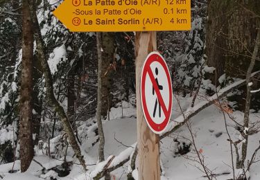 Excursión Raquetas de nieve Cerniébaud - la patte d'oie  - Photo