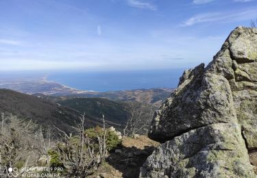 Randonnée Marche Collioure - Le Rimbau - Photo