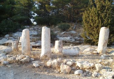 Trail On foot Mate Yehuda Regional Council - IL-9346 - Photo