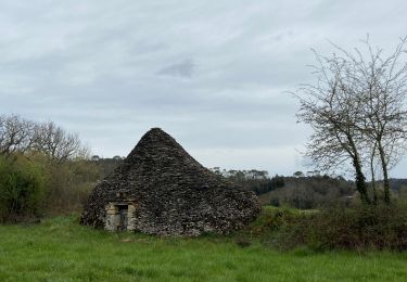 Tour Wandern Saint-Vincent-le-Paluel - Un petit tour avec un château en ruine et une boîte - Photo