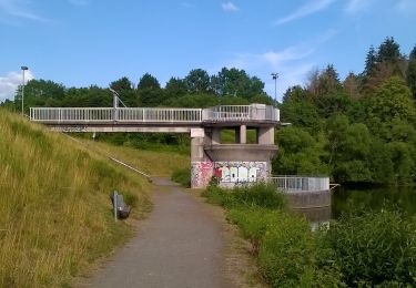 Trail On foot Ober-Ramstadt - Rundwanderweg Ober-Ramstadt Am Heideacker 2: Silberberg-Weg - Photo