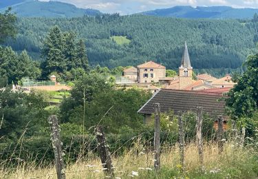 Percorso Marcia Saint-Nizier-d'Azergues - Saint-Nizier-d'Azergues (14 km - D. 577 m) - Photo