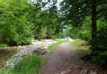 Trail Walking Saint-Pierre-d'Entremont - Cirque de Saint-Même-2022-G2 - Photo