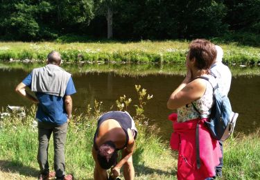 Tour Wandern La Roche-en-Ardenne - Maboge, champs Thomas - Photo