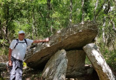 Trail Walking Barjac - 2020 06 17 dolmen de Barjac  - Photo