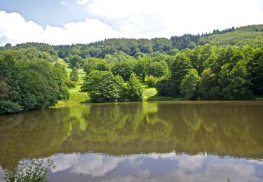 Randonnée A pied Poppenhausen - Guckaisee - Rhön-Rundweg 18 - Photo