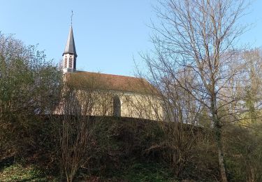 Tour Wandern Rouilly-Sacey - Sacey Resson 16,6km le 25.03.2022 - Photo