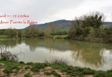 Tour Wandern Cizur - 15.04.18 Cizur Menor--Puente l Reina - Photo
