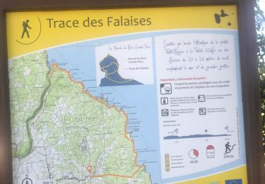Trail Trail Anse-Bertrand - Habitation la mahaudière  - Photo