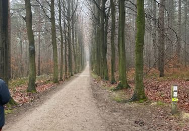 Randonnée Marche Oud-Heverlee - Meerdael  - Photo