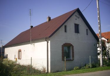 Tocht Te voet Onbekend - Wrocław -Sobótka - Photo