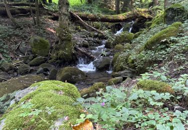 Excursión sport Saint-Théoffrey - Walkaround Ser Sirant camping - Photo