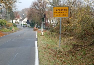 Tour Zu Fuß Ruppichteroth - Winterscheid Rundweg A6 - Photo