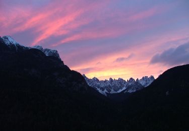 Trail On foot Pieve di Cadore - IT-343 - Photo