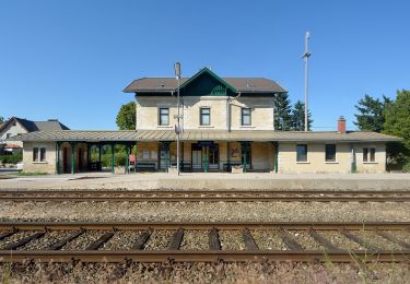 Tocht Te voet Gemeinde Wöllersdorf-Steinabrückl - Wöllersdorf - Aigen - Photo