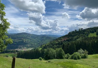 Tour Wandern Vagney - Tourbières de la Grande Charme - Photo