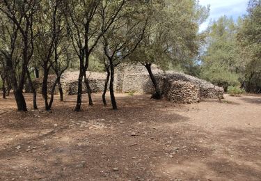 Percorso Marcia Nages-et-Solorgues - Nages les capitelle - Photo