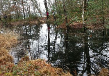 Tour Wandern Fontainebleau - croix daugas - Photo