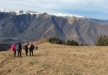 Trail Walking Baren - mail de la Pique 20.02.2021 - Photo