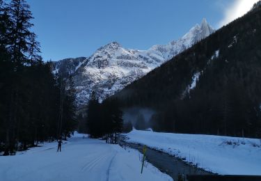 Tocht Stappen Chamonix-Mont-Blanc - CHAMONIX... depuis l' Arveyron jusqu'à la Floria.  - Photo