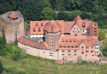 Tour Zu Fuß Burgsinn - Ortswanderweg Rieneck 1 - Photo