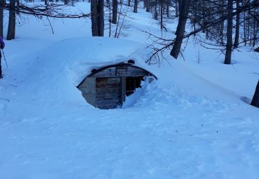 Tour Schneeschuhwandern Arvieux - col de furfande - Photo