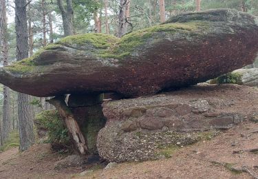 Tour Wandern Urbeis - col de wettstein la pierre tremblante - Photo