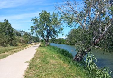Trail Walking Arles - arles sud, théâtre, pont van gogh et au delà  - Photo