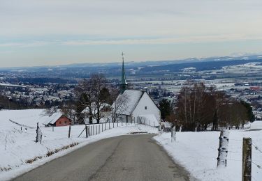 Percorso A piedi Lengnau (BE) - Wurzelweg - Photo