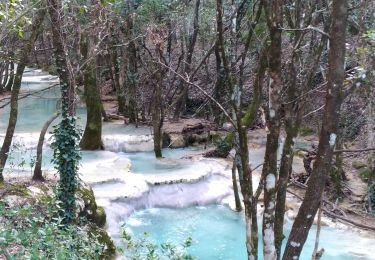 Tour Mountainbike Saint-Zacharie - Jeudaï-SourceDeLHuveaune-28Fev19 - Photo