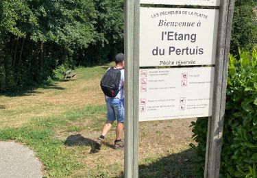Trail Walking Saint-Martin-la-Plaine - 20200723...De St-Martin-la-Plaine à Ste Catherine - Photo