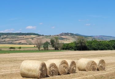 Tour Elektrofahrrad Murat-le-Quaire - 309522 Murat le Quaire / le puy en Velay  - Photo