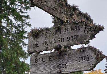 Tocht Stappen Les Déserts - REVARD 07-10-24 - Photo