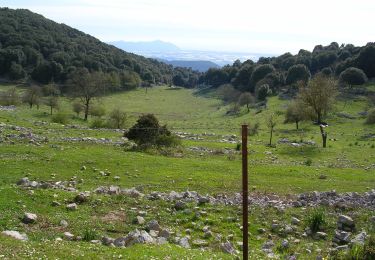 Trail On foot Sonnino - Frasso - Monte Romano - Photo