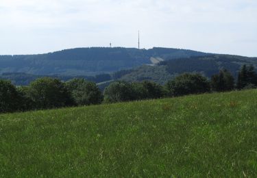 Percorso A piedi Herscheid - Linde Rundweg A4 - Photo