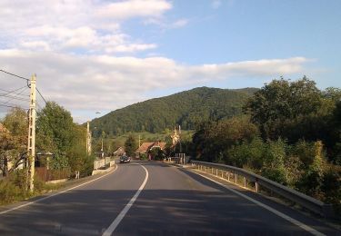 Tocht Te voet  - Gălăoaia-Valea Bistrei - Photo