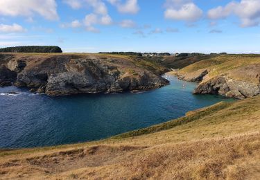 Tocht Stappen Locmaria - point pouldon pointe st marc - Photo