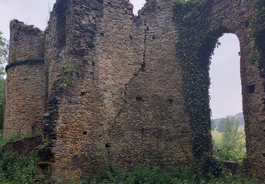 Tour Wandern Gesves - Gèsves - Photo