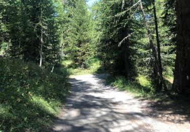 Trail Walking Morgex - Lac d’Arpy  - Photo