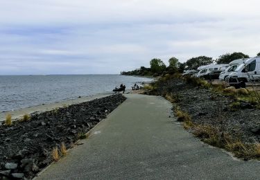 Percorso A piedi Dahme - Leuchtturm-Wald-Route - Photo