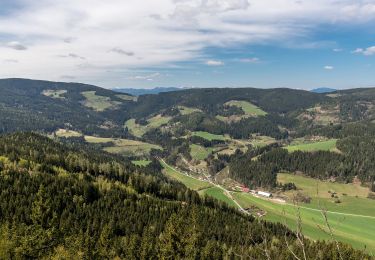 Randonnée A pied Frauenstein - Pulst-Sörg-Lorenziberg-Runde - Photo