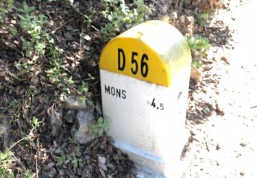 Randonnée Marche Mons - Mons - Photo