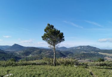 Trail Walking Villeneuvette - villeneuvette  - Photo